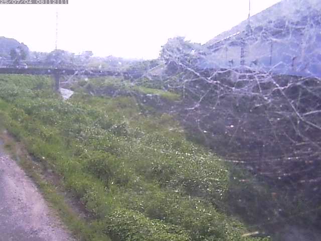 取得できませんでした