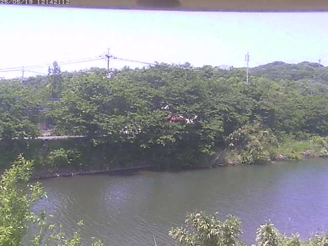 取得できませんでした