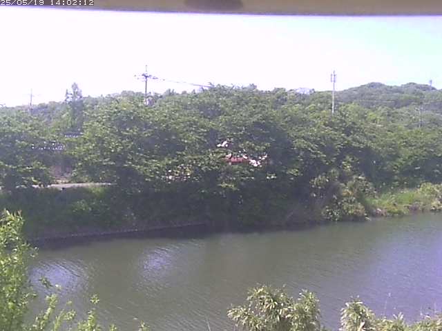 取得できませんでした