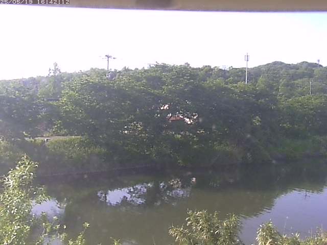 取得できませんでした