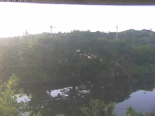 取得できませんでした