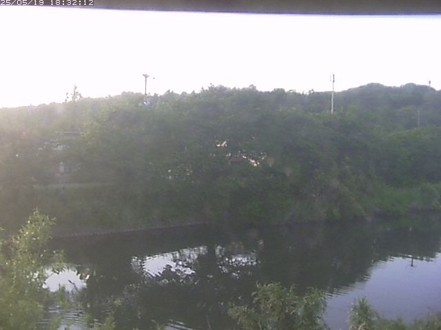 取得できませんでした