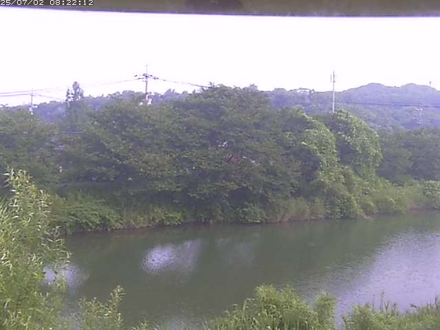 取得できませんでした