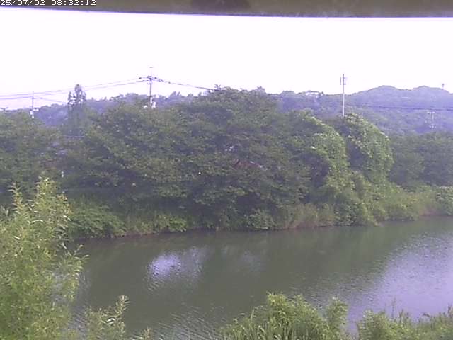 取得できませんでした