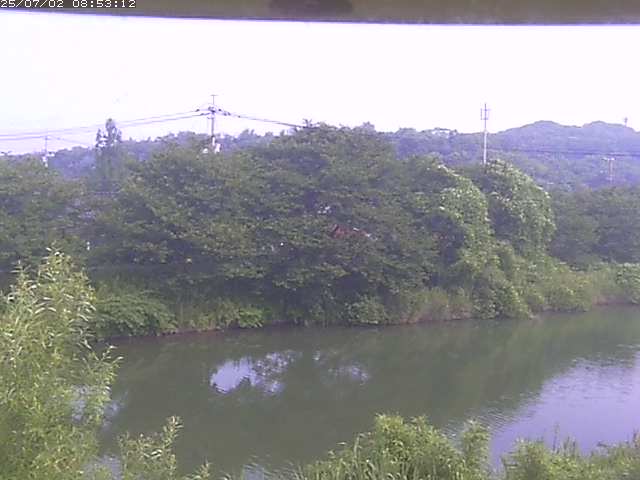 取得できませんでした