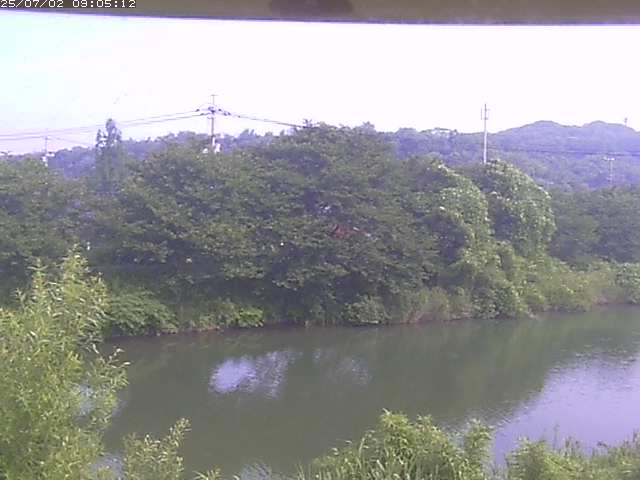 取得できませんでした