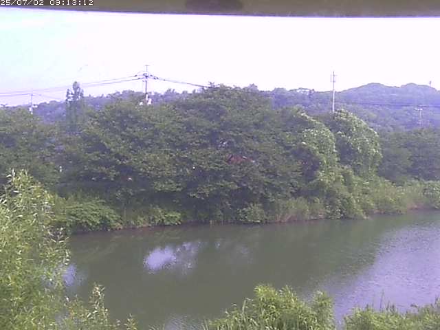 取得できませんでした