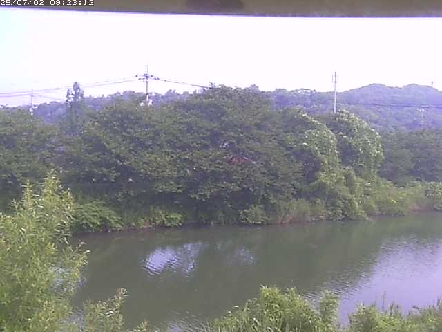 取得できませんでした
