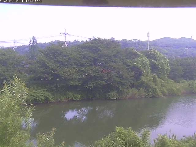 取得できませんでした