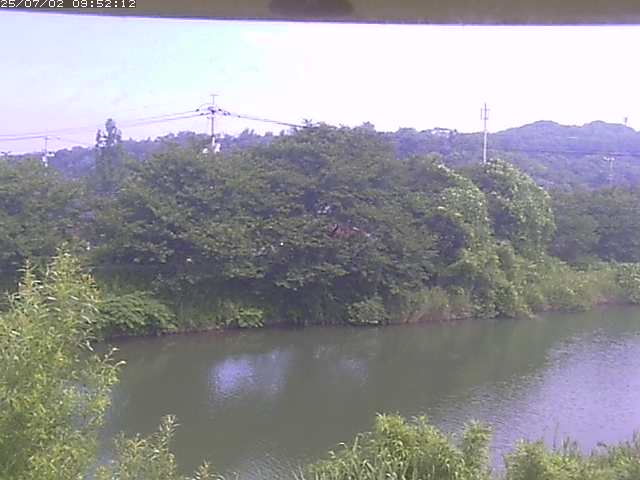 取得できませんでした