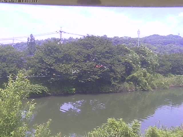 取得できませんでした