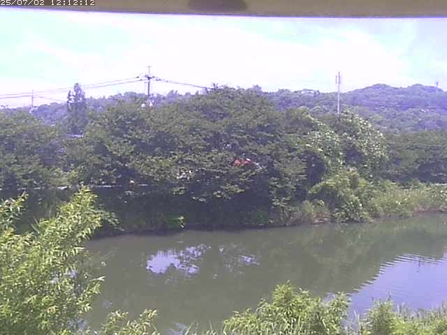 取得できませんでした