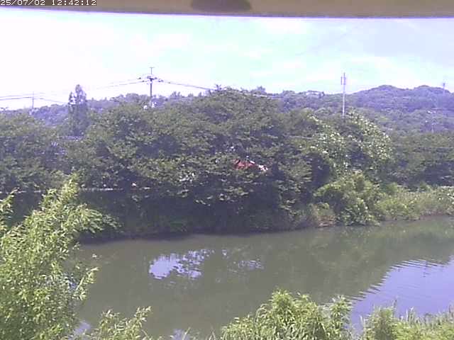 取得できませんでした