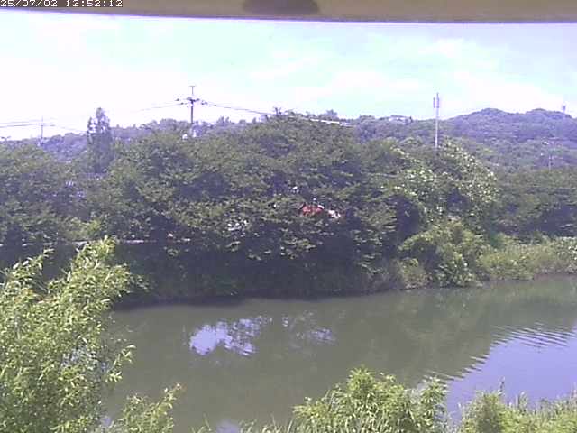 取得できませんでした