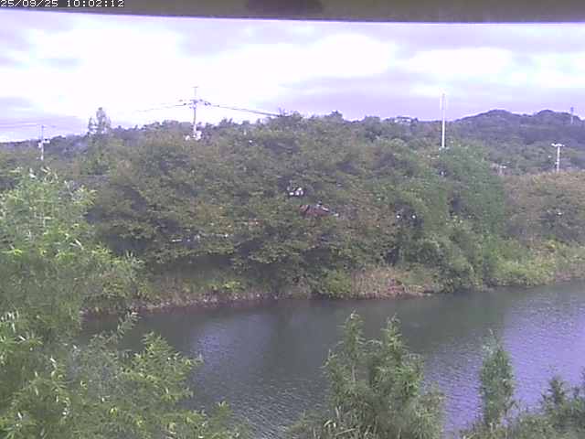 取得できませんでした