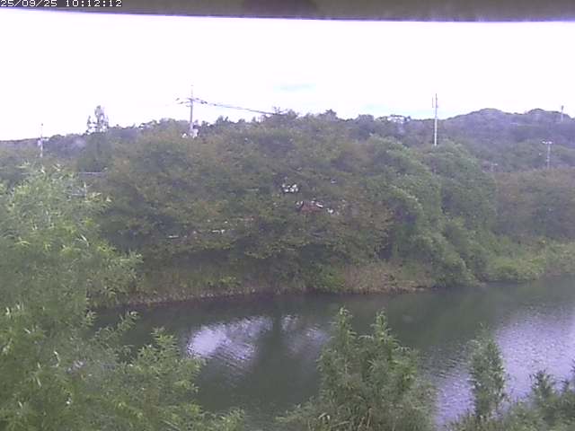 取得できませんでした