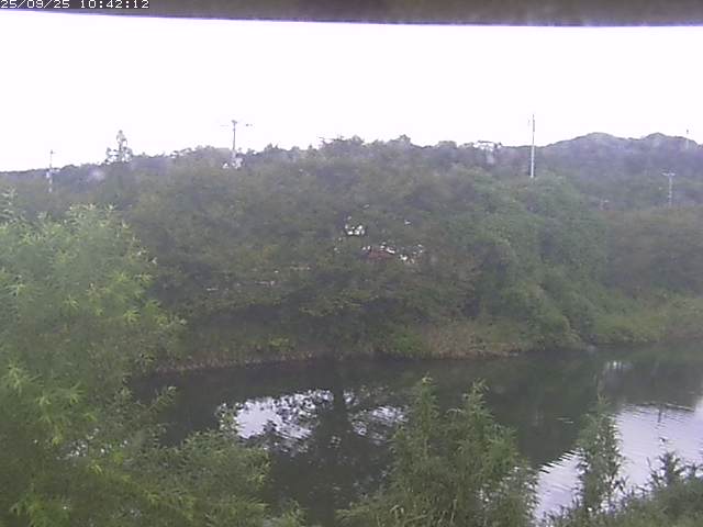 取得できませんでした