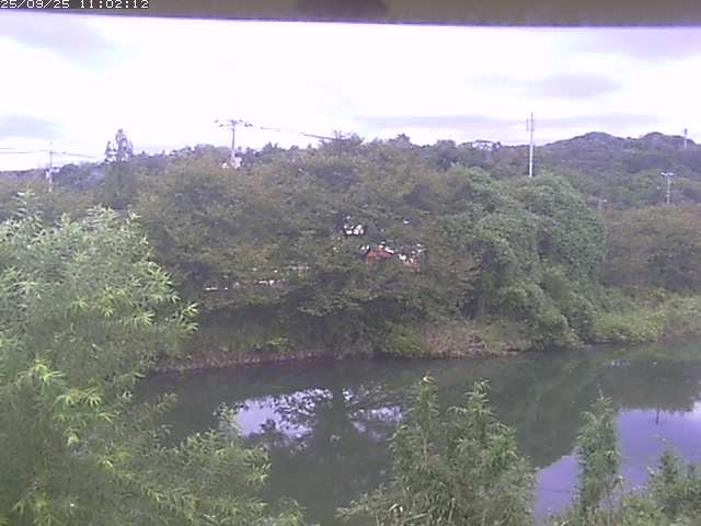 取得できませんでした