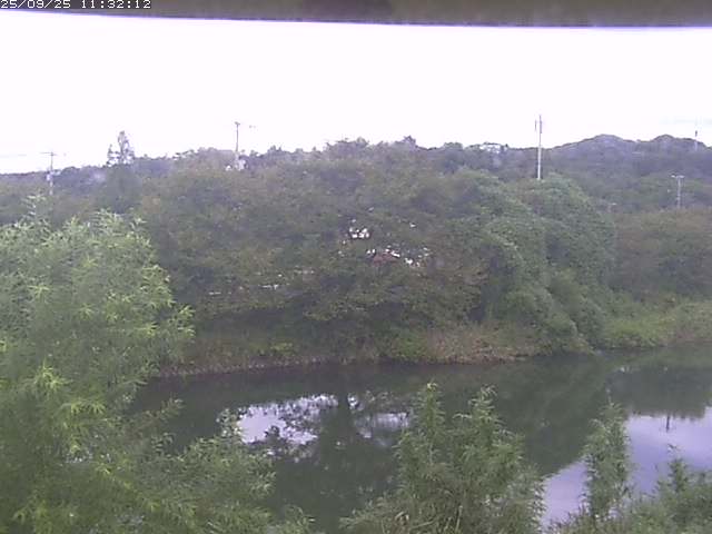 取得できませんでした