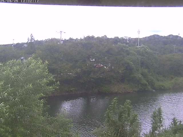 取得できませんでした