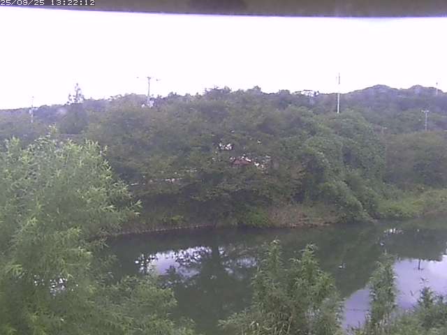 取得できませんでした
