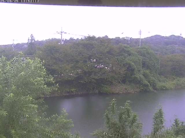 取得できませんでした