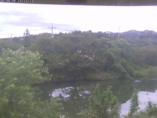 取得できませんでした