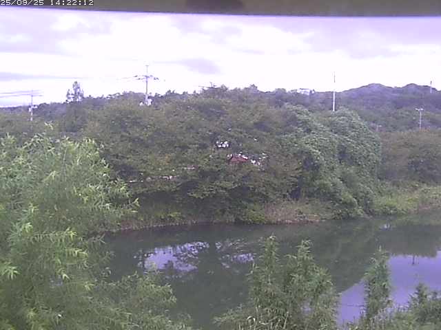 取得できませんでした
