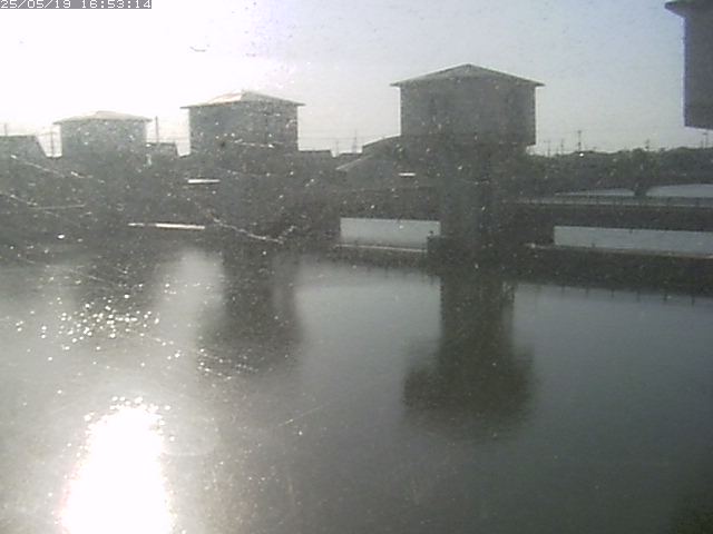 取得できませんでした
