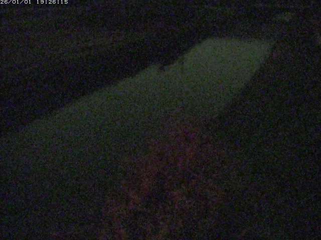 取得できませんでした