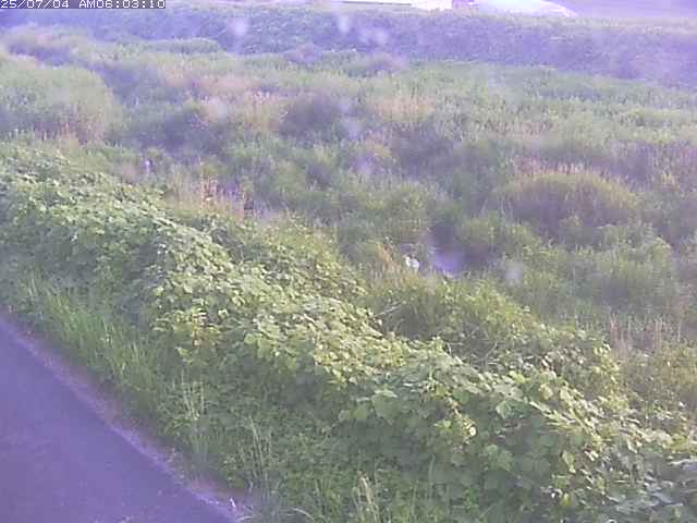 取得できませんでした