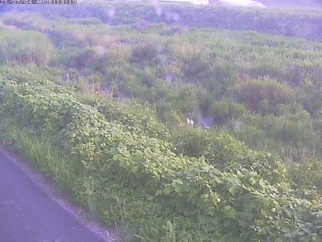 取得できませんでした