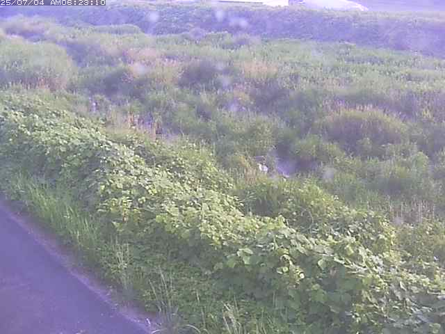 取得できませんでした