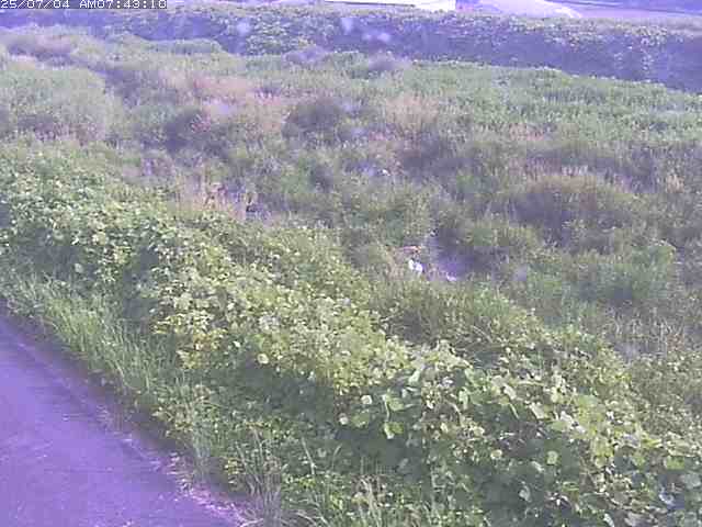 取得できませんでした