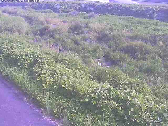 取得できませんでした