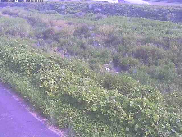 取得できませんでした