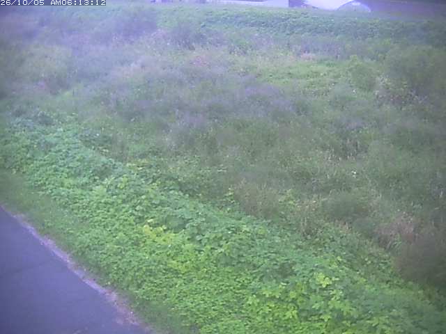 取得できませんでした