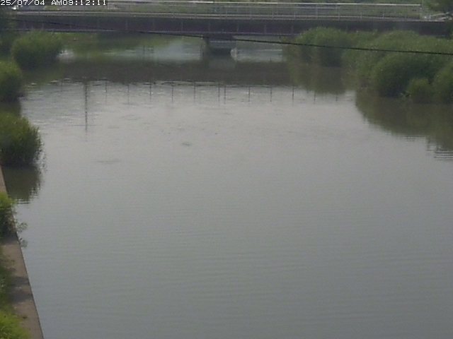 取得できませんでした