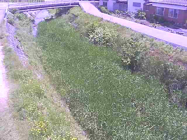 取得できませんでした