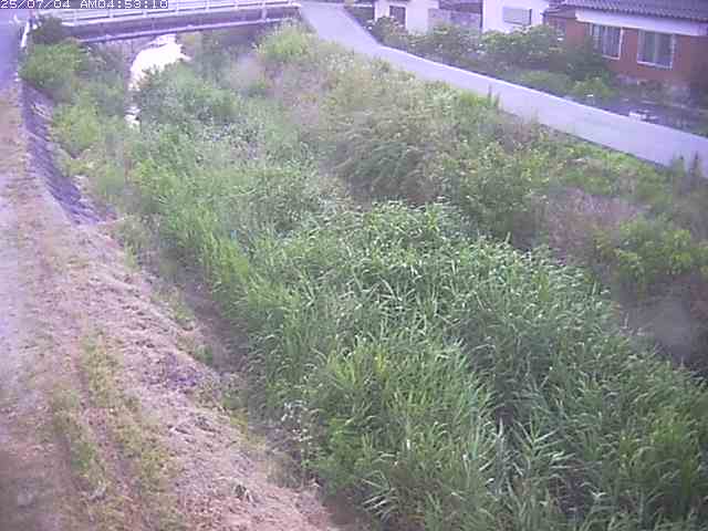 取得できませんでした