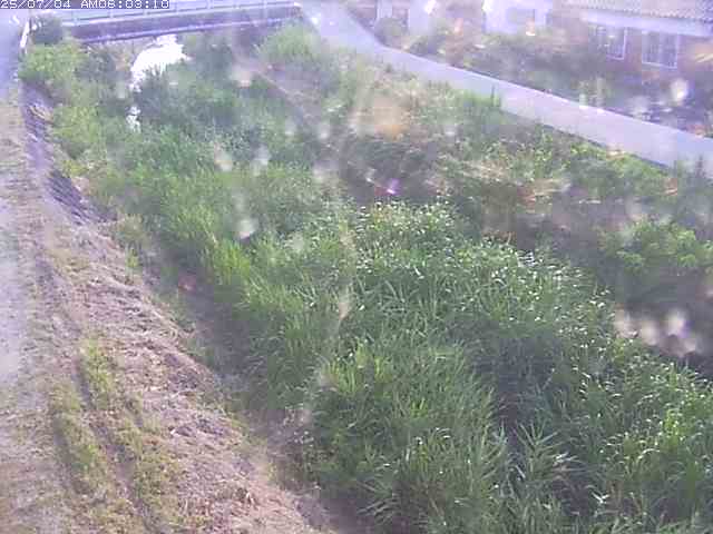 取得できませんでした