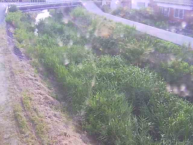 取得できませんでした