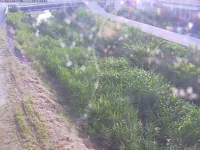 取得できませんでした