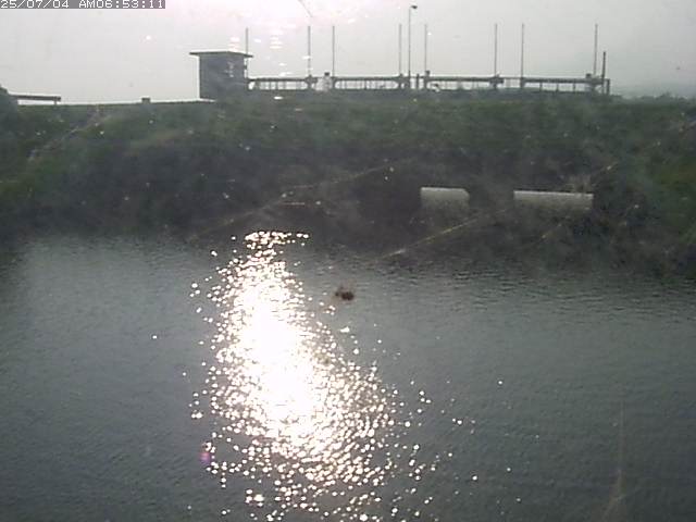 取得できませんでした