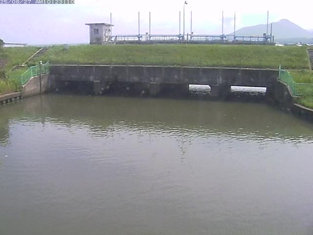 取得できませんでした