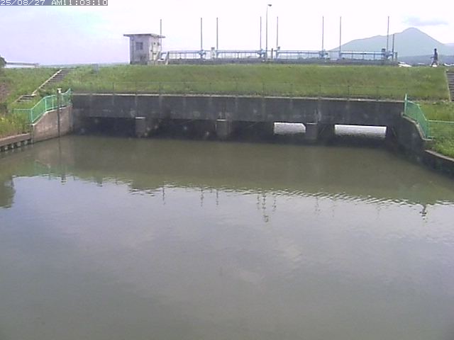 取得できませんでした