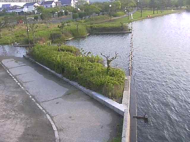 取得できませんでした
