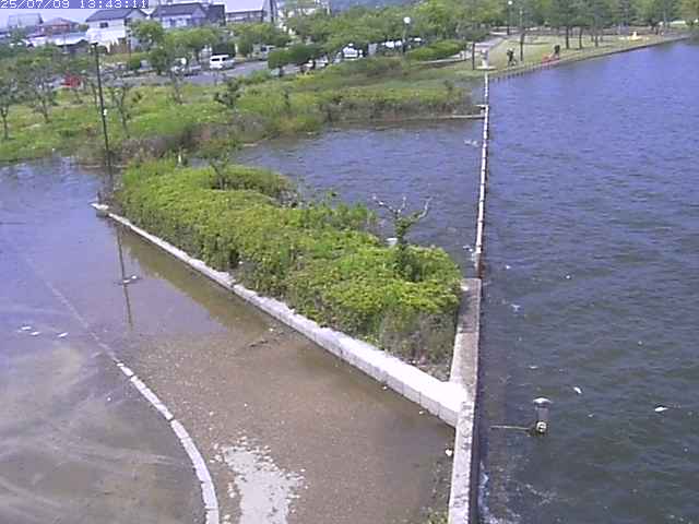 取得できませんでした