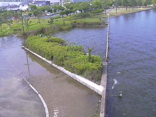 取得できませんでした