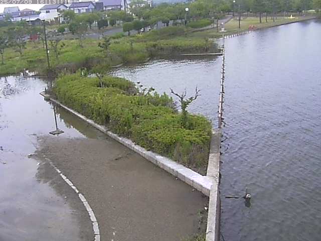 取得できませんでした